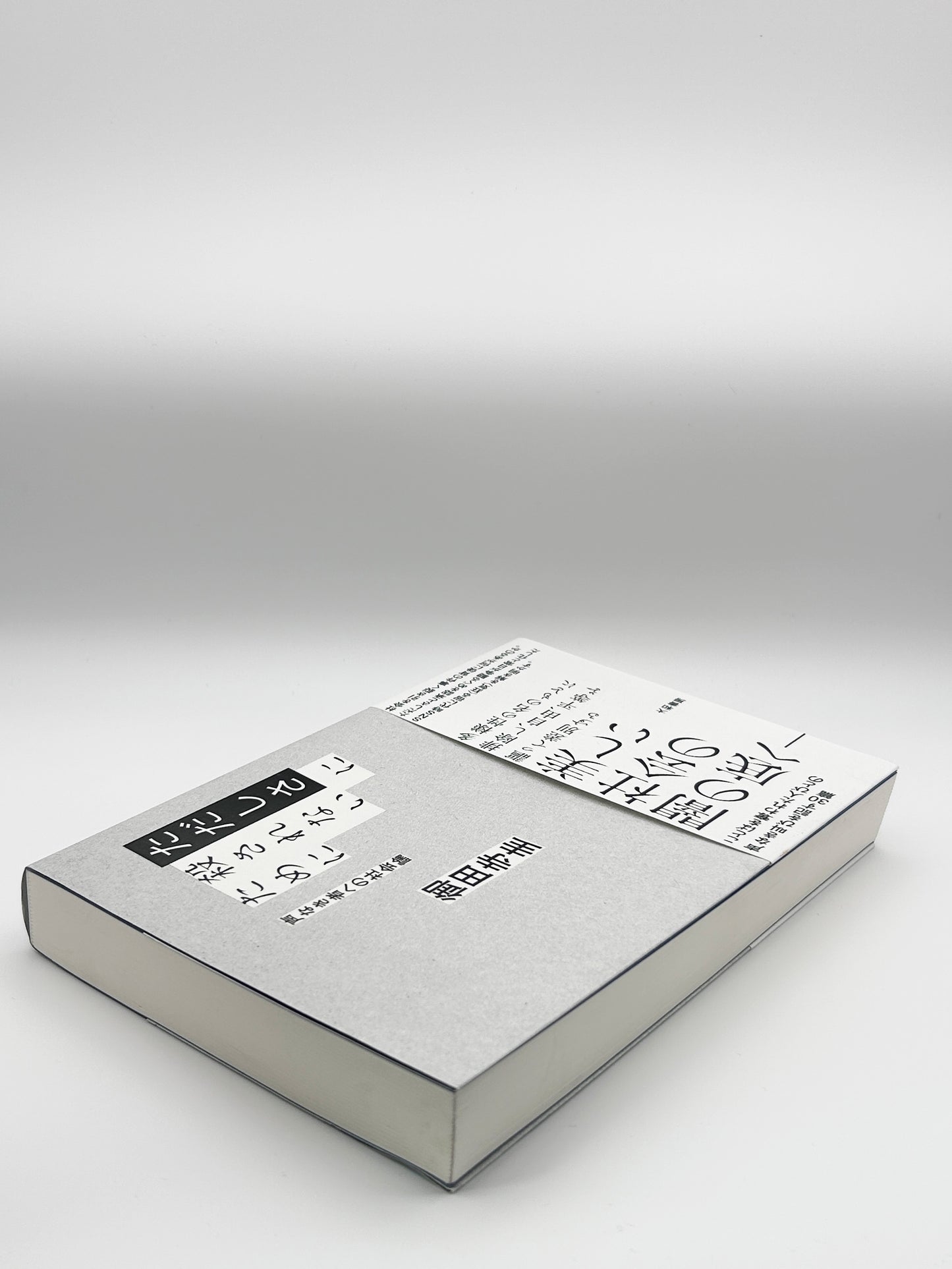 【古本】ただしさに殺されないために~声なき者への社会論